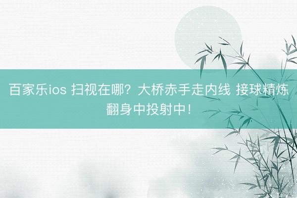 百家乐ios 扫视在哪？大桥赤手走内线 接球精炼翻身中投射中！