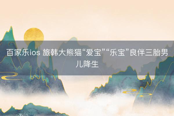百家乐ios 旅韩大熊猫“爱宝”“乐宝”良伴三胎男儿降生