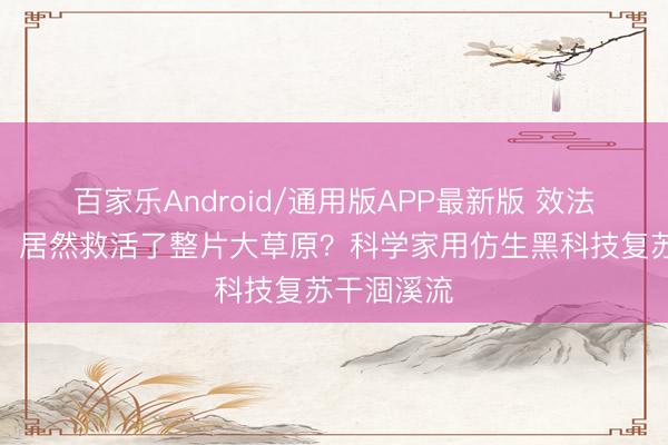 百家乐Android/通用版APP最新版 效法一只河狸，居然救活了整片大草原？科学家用仿生黑科技复苏干涸溪流